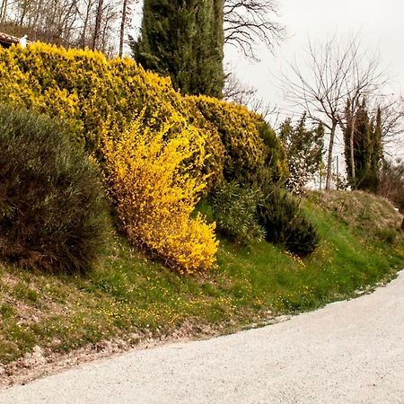 Calmancino Delle Selve Bed & Breakfast Urbino Eksteriør bilde