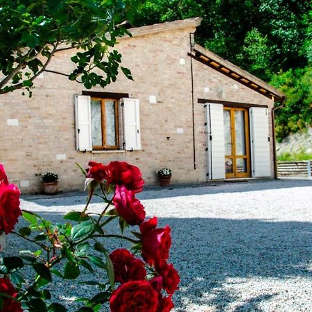 Calmancino Delle Selve Bed & Breakfast Urbino Eksteriør bilde