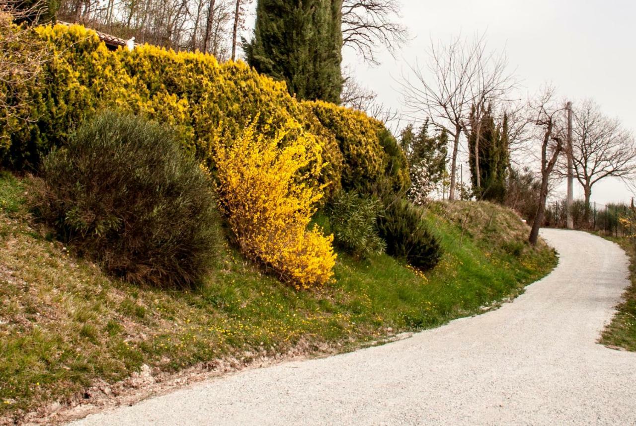Calmancino Delle Selve Bed & Breakfast Urbino Eksteriør bilde