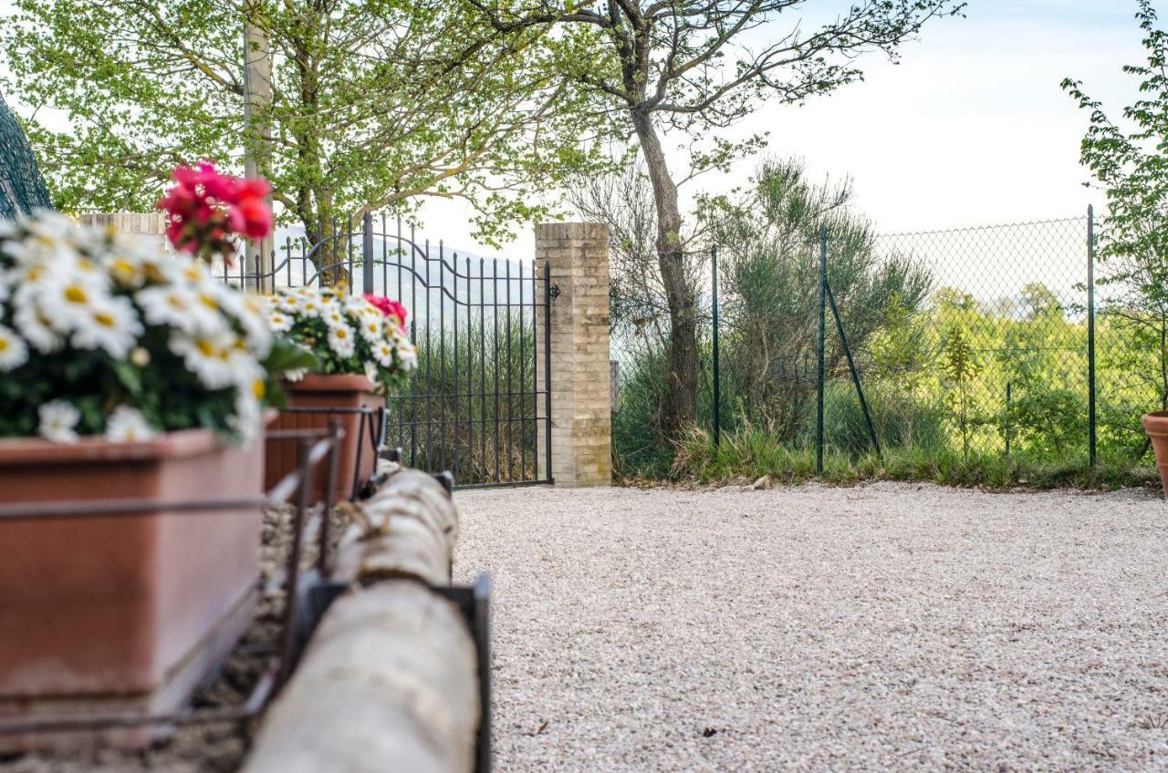 Calmancino Delle Selve Bed & Breakfast Urbino Eksteriør bilde