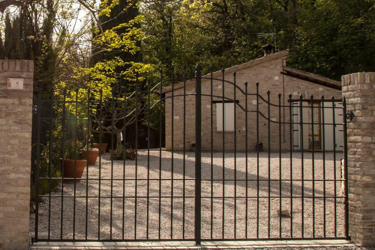 Calmancino Delle Selve Bed & Breakfast Urbino Eksteriør bilde