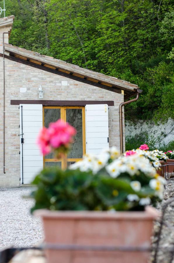 Calmancino Delle Selve Bed & Breakfast Urbino Eksteriør bilde