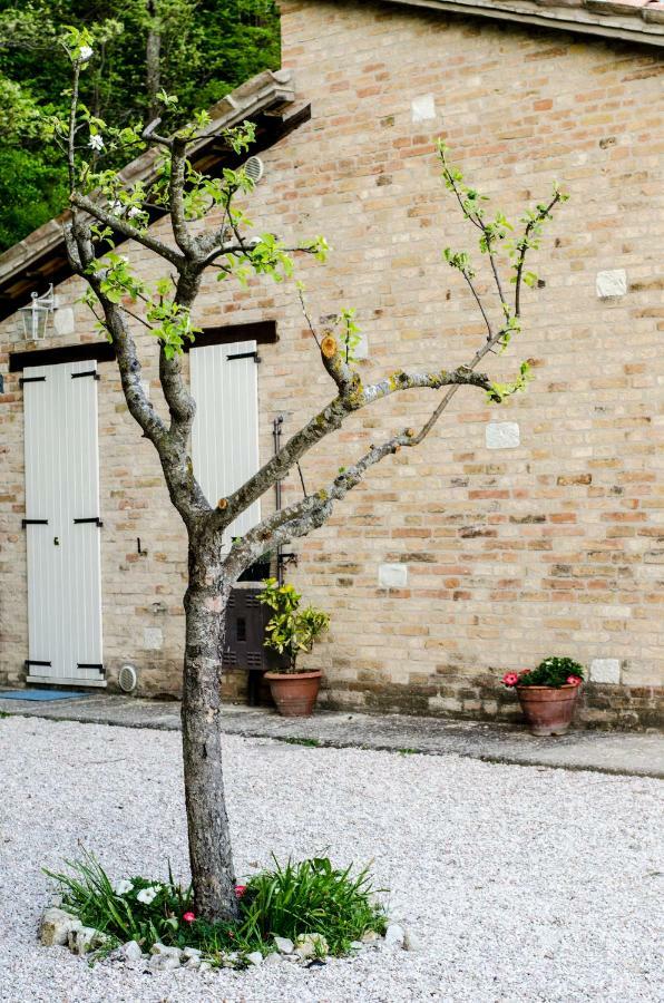 Calmancino Delle Selve Bed & Breakfast Urbino Eksteriør bilde