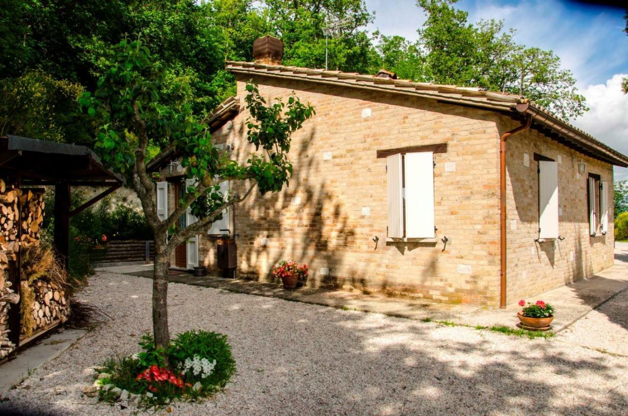 Calmancino Delle Selve Bed & Breakfast Urbino Eksteriør bilde