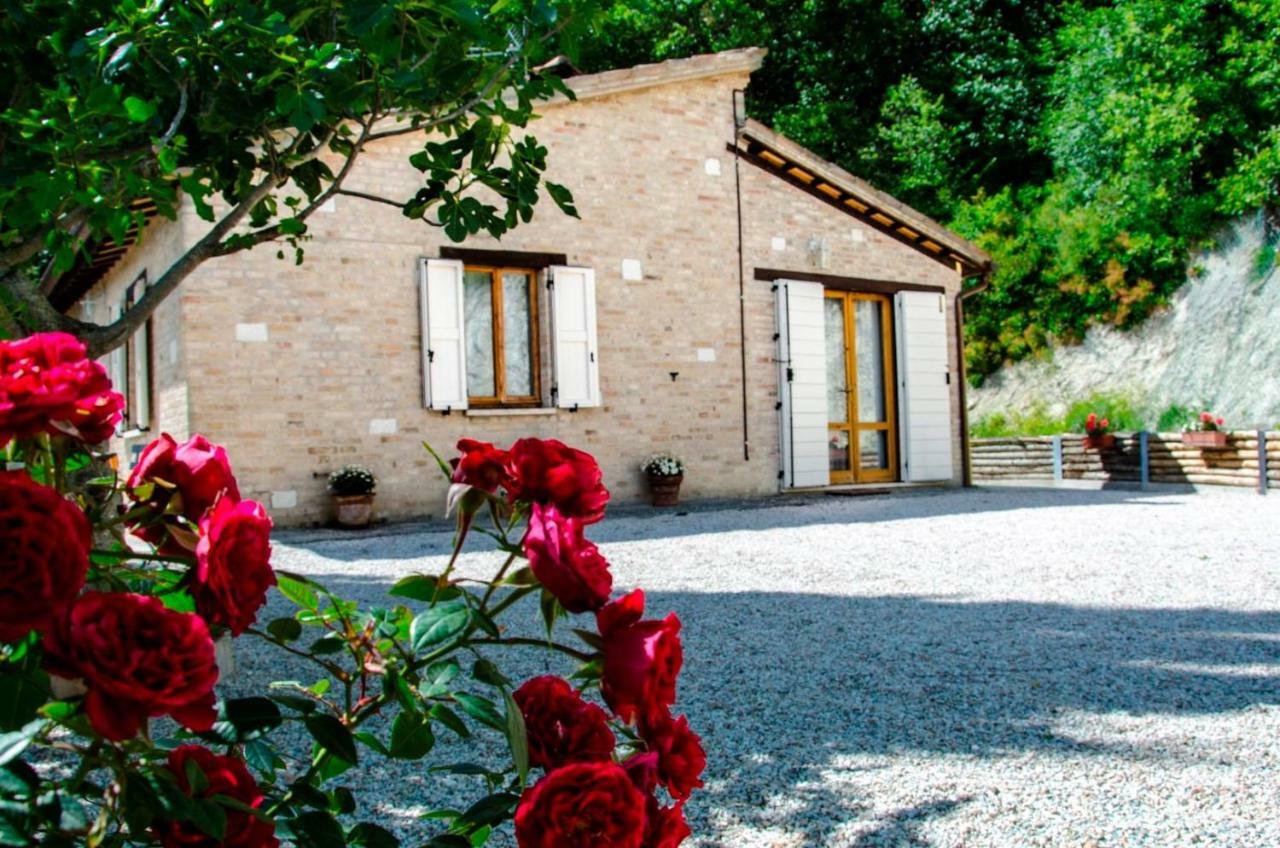Calmancino Delle Selve Bed & Breakfast Urbino Eksteriør bilde