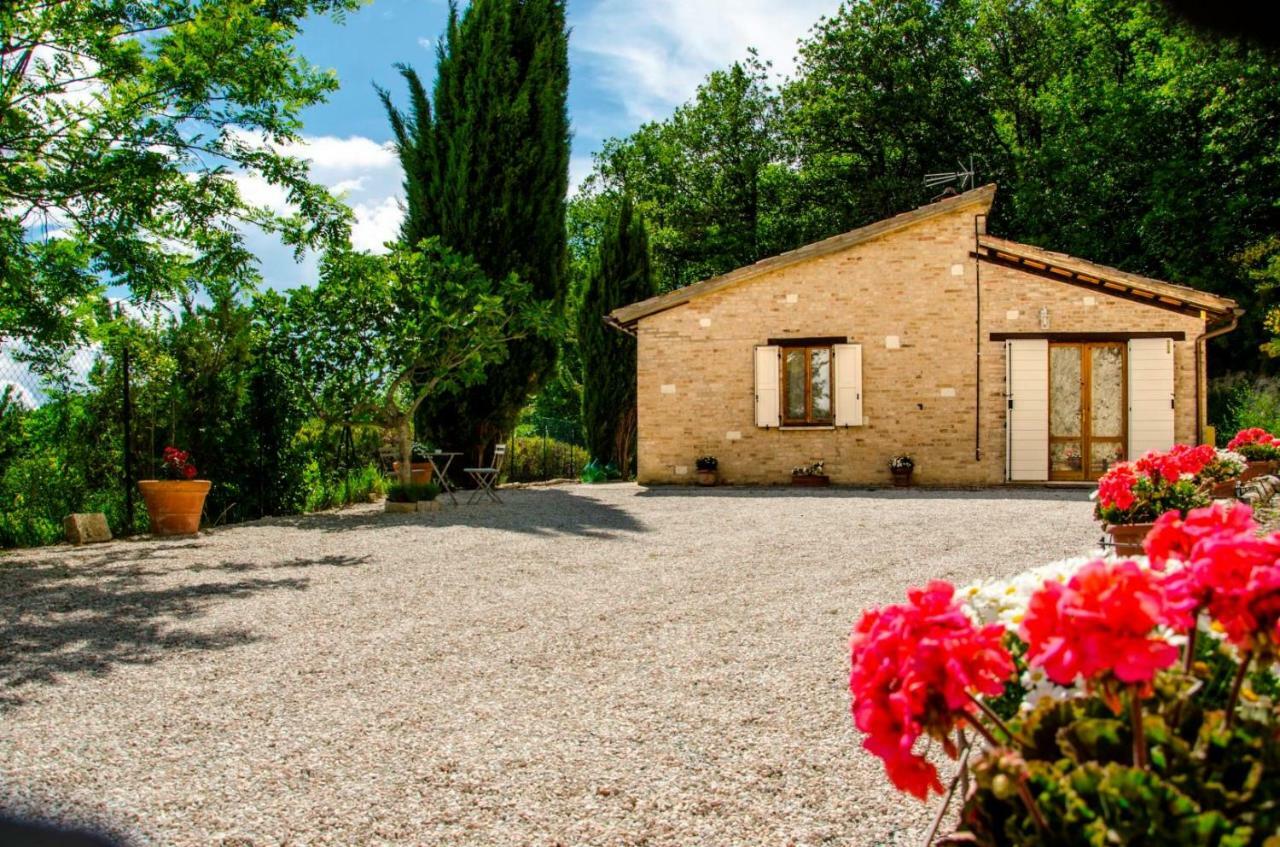 Calmancino Delle Selve Bed & Breakfast Urbino Eksteriør bilde
