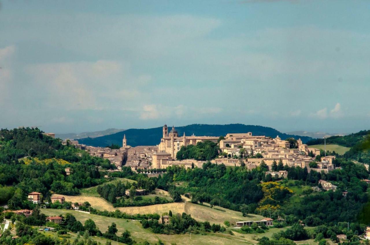 Calmancino Delle Selve Bed & Breakfast Urbino Eksteriør bilde