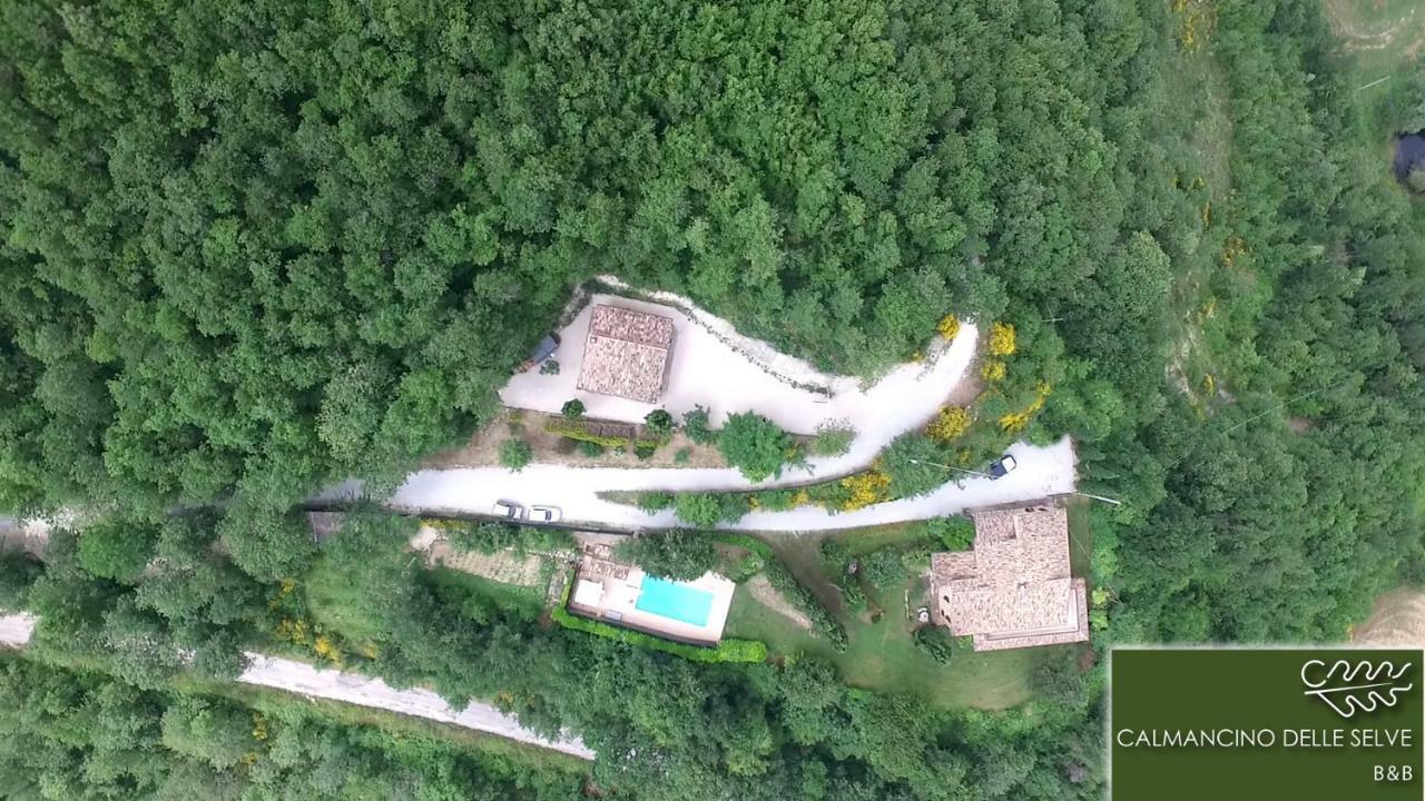 Calmancino Delle Selve Bed & Breakfast Urbino Eksteriør bilde