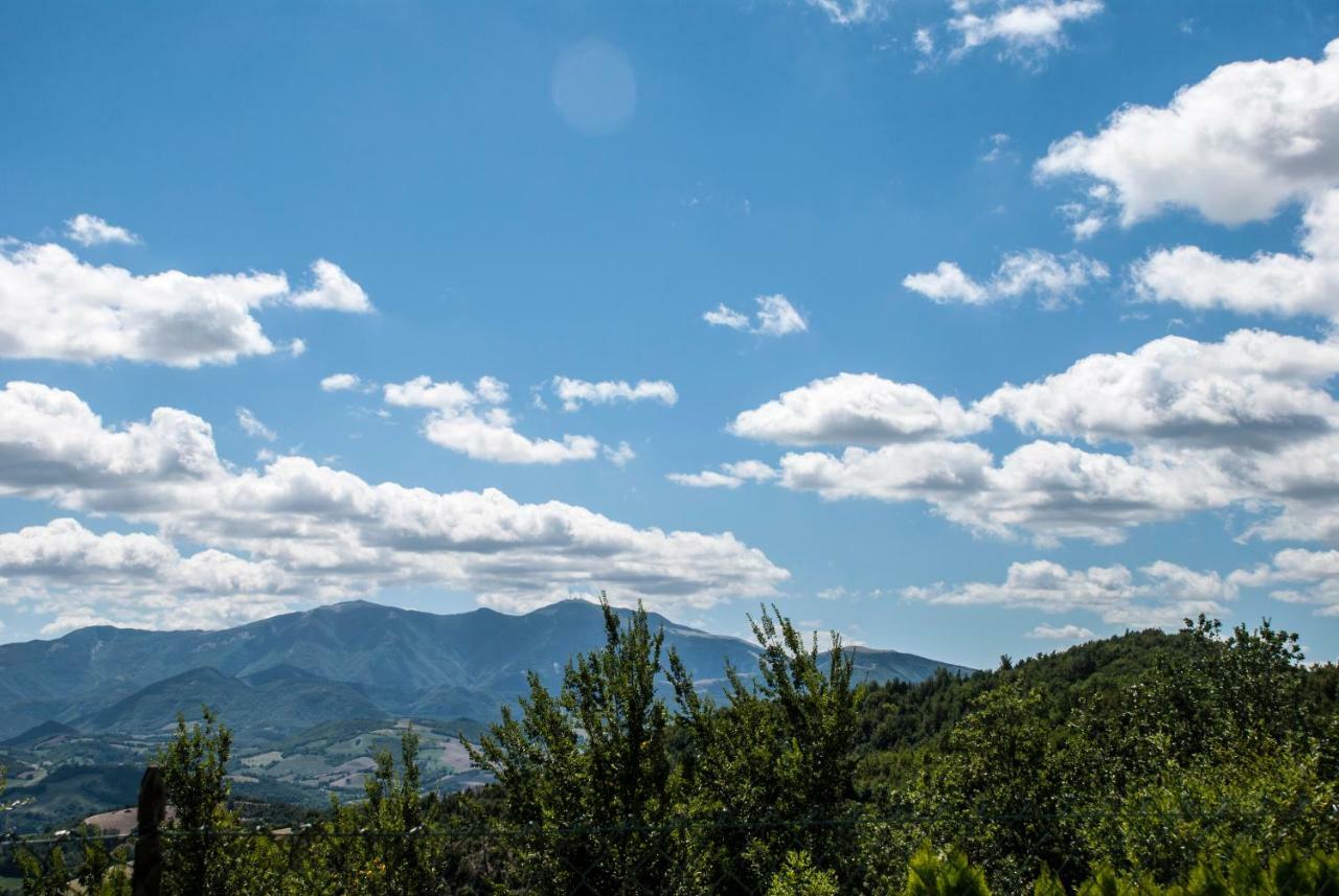 Calmancino Delle Selve Bed & Breakfast Urbino Eksteriør bilde