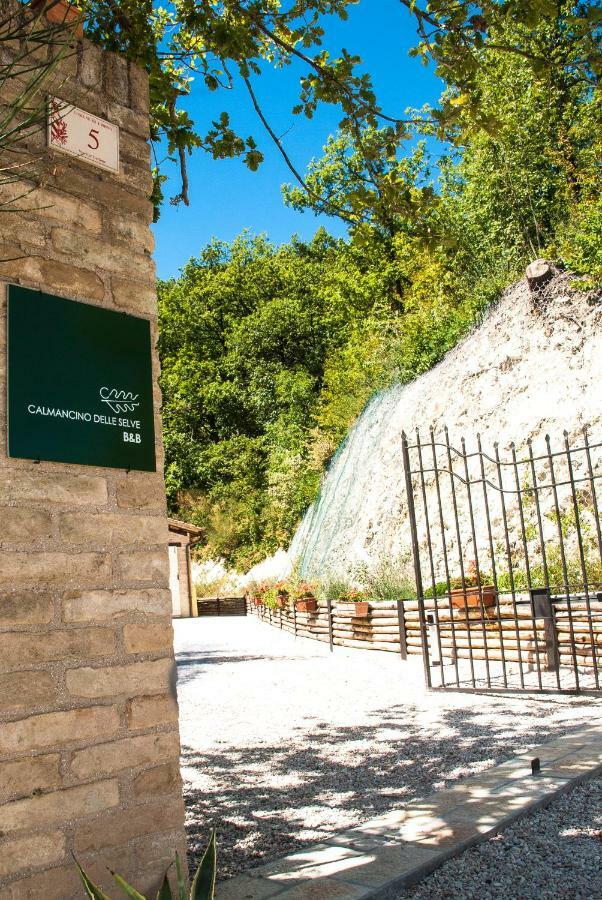 Calmancino Delle Selve Bed & Breakfast Urbino Eksteriør bilde