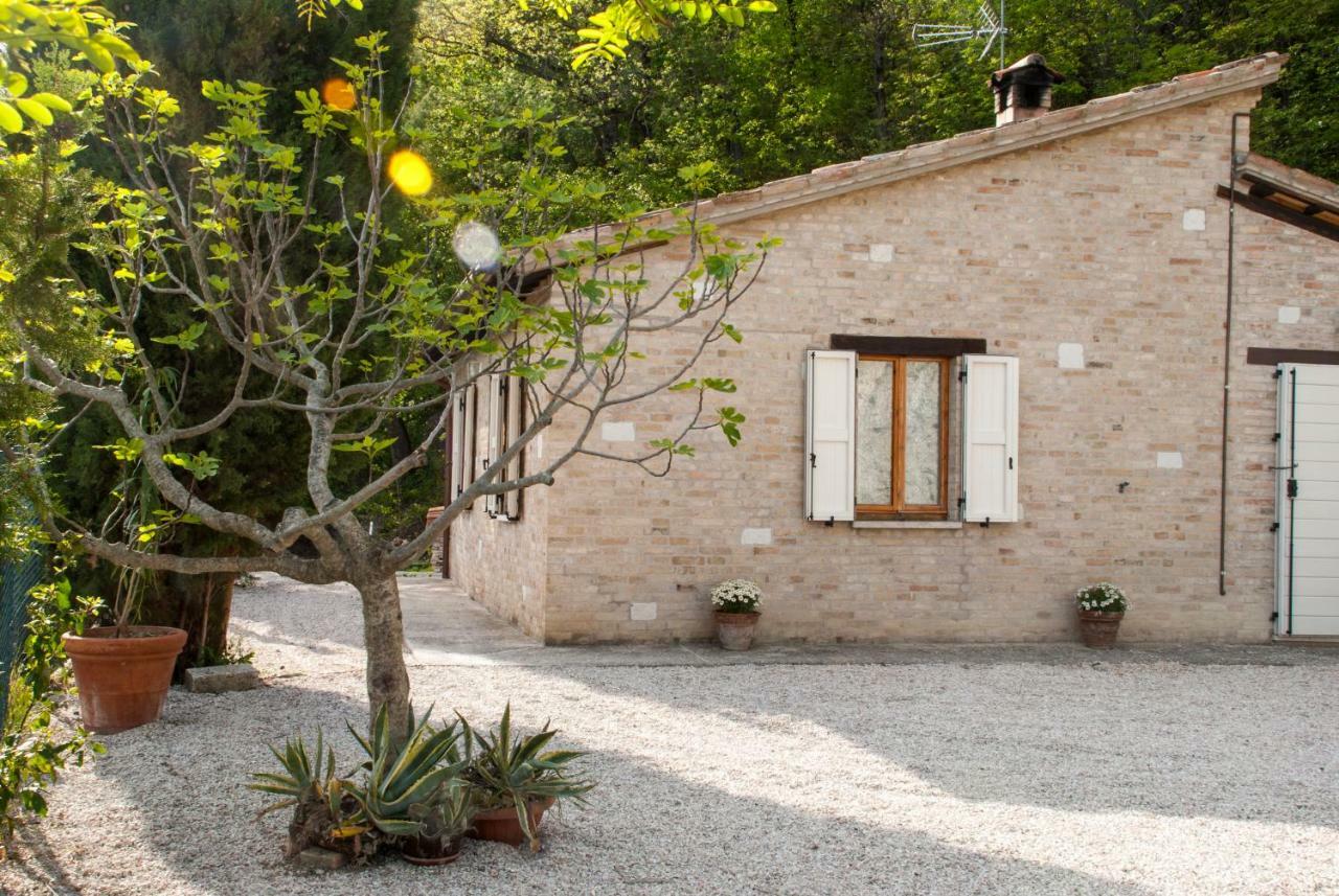 Calmancino Delle Selve Bed & Breakfast Urbino Eksteriør bilde