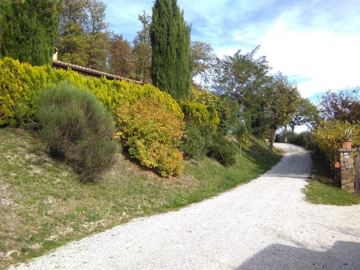 Calmancino Delle Selve Bed & Breakfast Urbino Eksteriør bilde